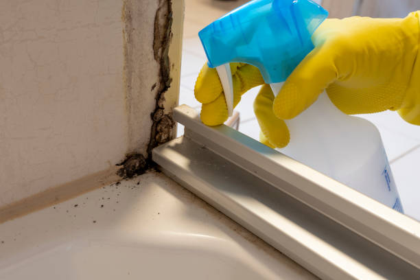 Best Mold Testing  in Golden Beach, MD