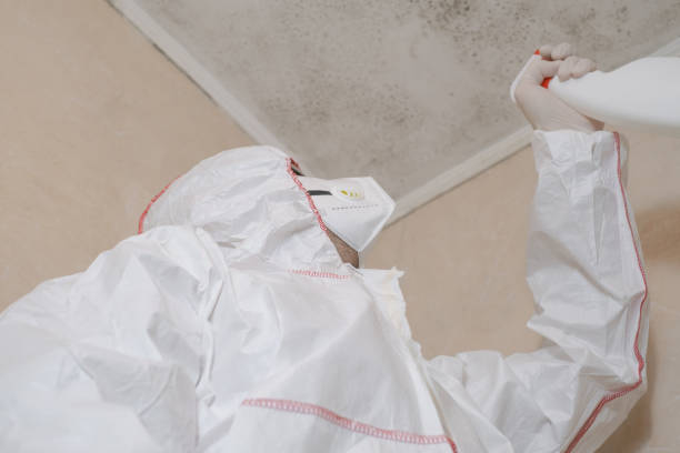 Office Mold Removal Services in Golden Beach, MD