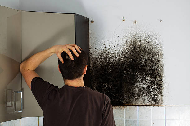 Best Office Mold Removal Services  in Golden Beach, MD